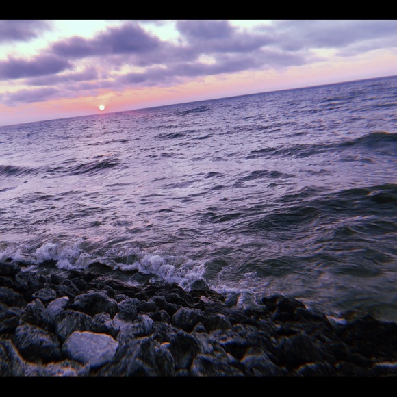 Meet your Posher, Alexa - Picture 1 of 1